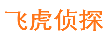 宿迁市私家侦探